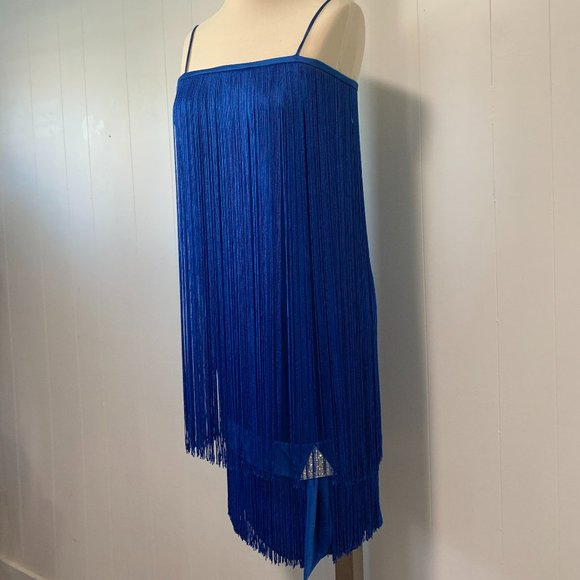 Stunning Rare Vintage Fringe Dress - Picture 3 of 15